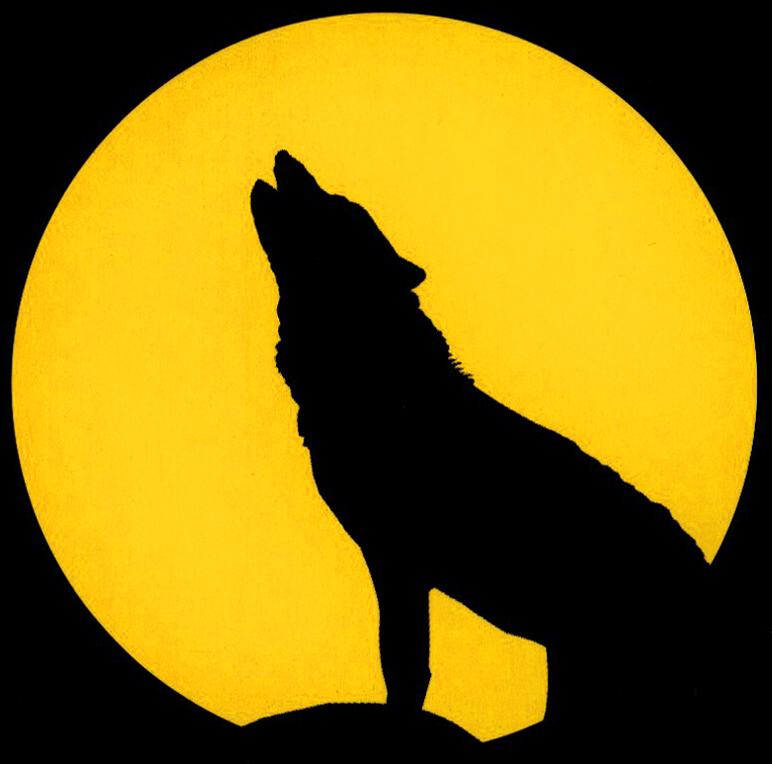 Wolfgang Schuster, Gitarrist, Blueswolf, Speyer, Künstler in Speyer, Musiker in Speyer